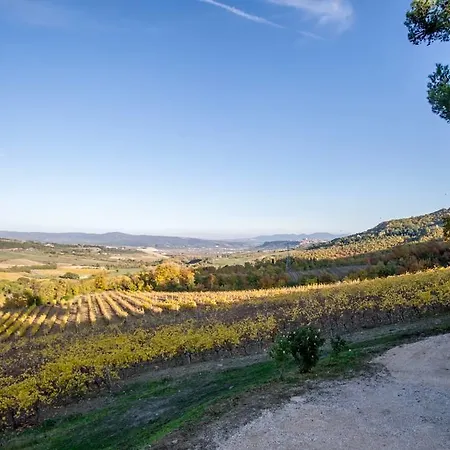 Vakantiehuis Paradiso Tra Le Vigne Viceno